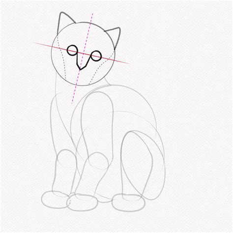 how to draw a realistic cat step by step easy