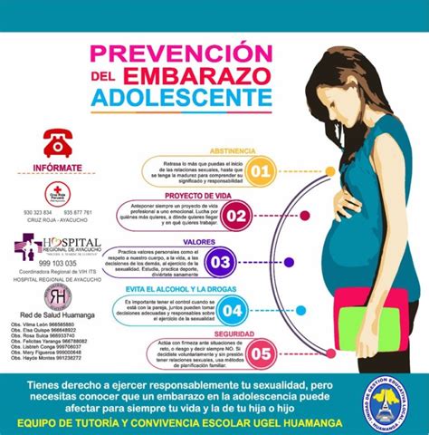 PrevenciÓn Del Embarazo En Adolescentes Ugel 308 Unidad De Gestión