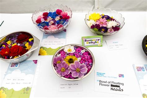 Chorley Council Chorley Flower Show 2018 Chorley Flower Show