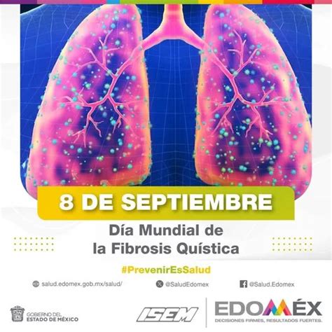 Deseptiembre La Fibrosis Qu Stica Es Un Trastorno Heredado Que