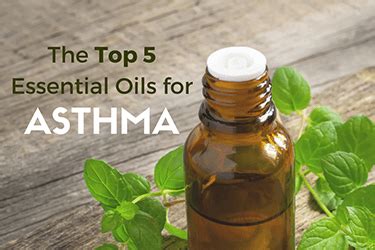 Check out our posts about essential oils and pets to make sure you keep your cats, dogs, and other animals safe. Top 5 Essential Oils for Asthma | Essential Oil Experts