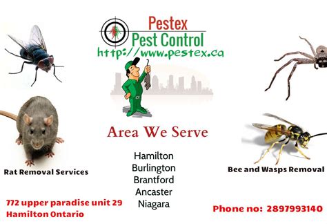 Pest control costs also depend on the type of infestation you have on your property, the property $150inc. Pest Control & Rat Extermination Services in Hamilton ...