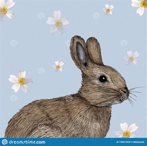 Découvrez donc ce coloriage lapin realiste à dessiner et colorier dans les temps libre. Illustration De Lapin Dessinée Dans Le Stylo Avec La ...