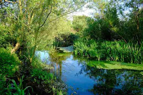 The ‘shocking State Of Englands Chalk Streams 2014 Caught By The
