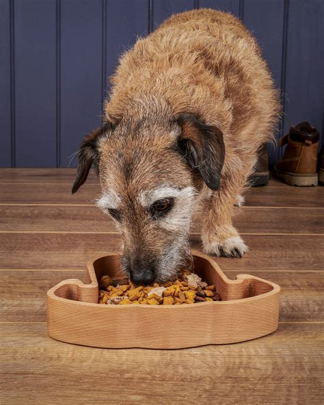 Saying no will not stop you from seeing etsy ads or impact etsy's own personalization technologies, but it may make the ads you see less relevant or more repetitive. Personalised Eco Friendly Dog Food Bowl Made In Britain By ...
