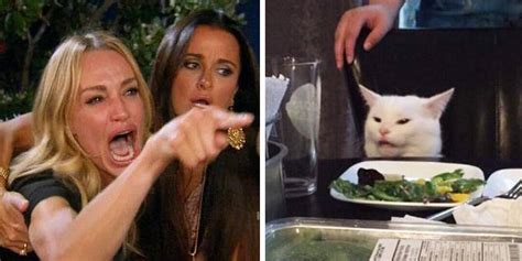 Woman Yelling At A Cat Is Derived From Two Popular Memes