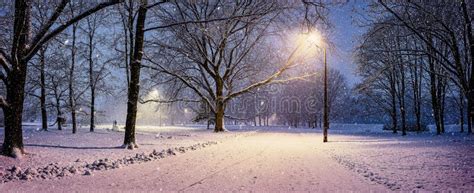 Panoramic View Of Winter Landscape In Park With Snowy Trees And Shining