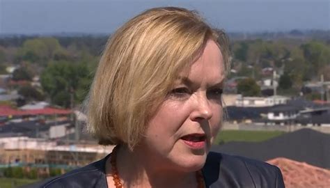 Leaked Email National Mp Criticises Judith Collins Highly Problematic Idea Of Reviewing