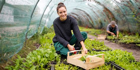 In nur 2 minuten deinen vertrag. Belgische landbouwbedrijven duurzamer dankzij u - Deutsche ...