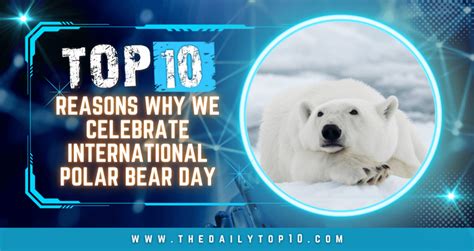 Top 10 Reasons Why We Celebrate International Polar Bear Day
