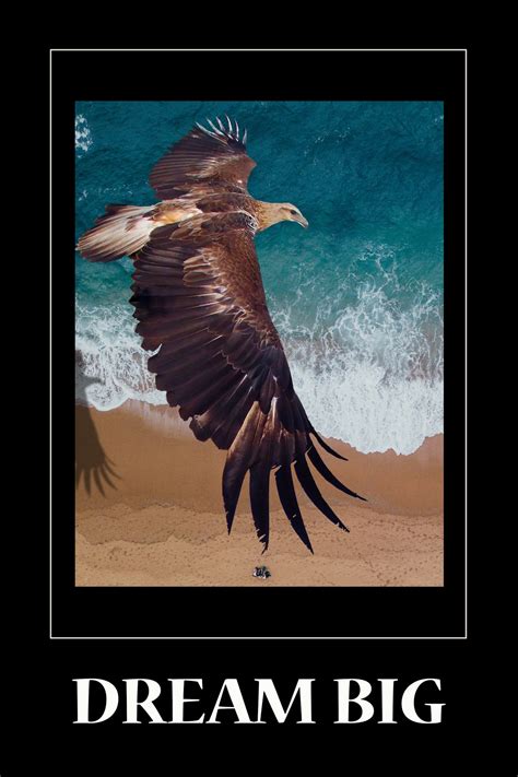 Eagle Soaring Motivational Poster Free Stock Photo