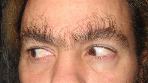 I See Your Long Eyebrow Hair And Raise You Well Take Your Pick Find