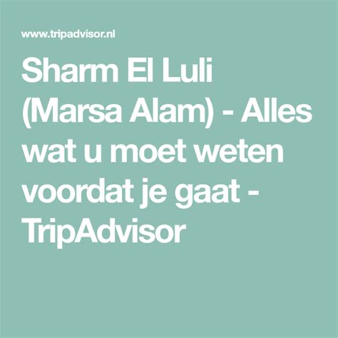 Sharm El Luli Marsa Alam 2022 Alles Wat U Moet Weten Voordat Je