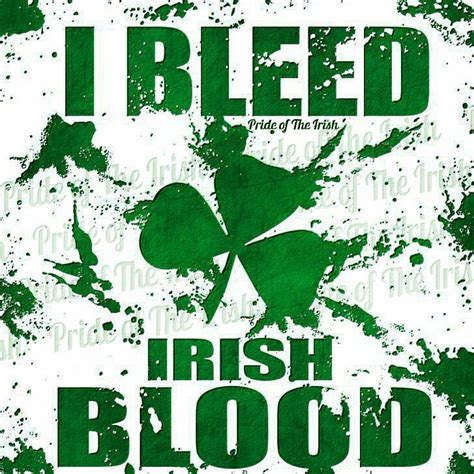Welcome Image By Scott Oneal Irish Pride Irish Gaelic Irish Quotes