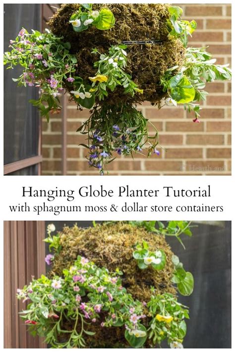 Hanging Globe Planter That Will Make You Stop And Smile