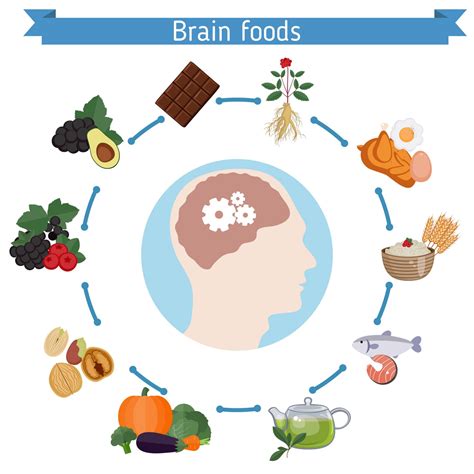 Brain Foods Infographics Drew Ramsey Md