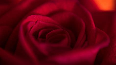 Download Wallpaper 3840x2160 Rose Bud Petals Flower Red Macro 4k