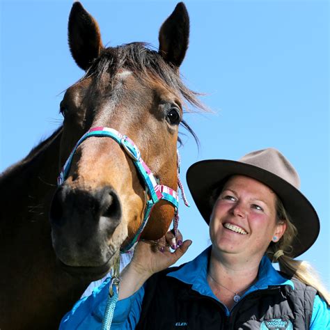 Winged Horse Equine Welfare Rescued Horses Helping Geelongs Vulnerable