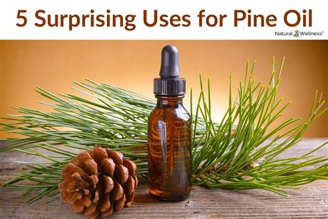 5 Surprising Uses For Pine Essential Oil Pine Oil Essential Oils For Colds Pine Essential Oil