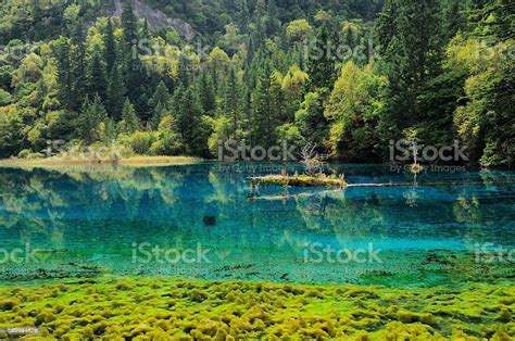 Colorful Lake In Jiuzhaigou National Park Sichuan China Stockfoto Und