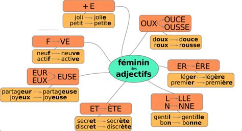 Le féminin des adjectifs École primaire É et C Freinet