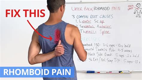 How To Fix Upper Back Rhomboid Pain For Good 4 Effective Exercises