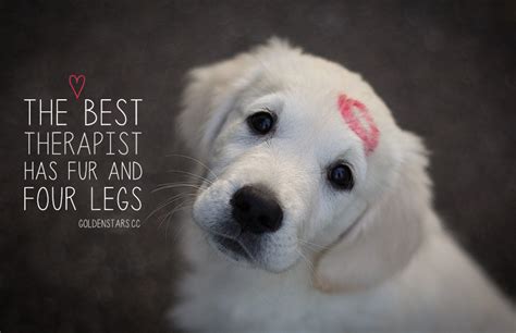 29 Inspirational Dog Quotes About Life And Love Playbarkrun