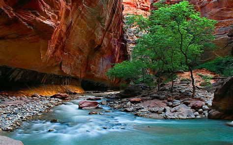 Hd Wallpaper The Narrows Zion National Park Rocks Stones River Canyon