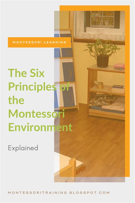 The Six Principles Of The Montessori Environment Montessori Environment Social Environment