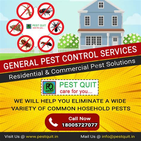 General Pest Control Services In Bangalore Pest Quit