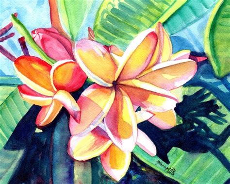 Kauai Plumeria Print From Hawaii Tropical Flowers Kauai Fine Art Prints