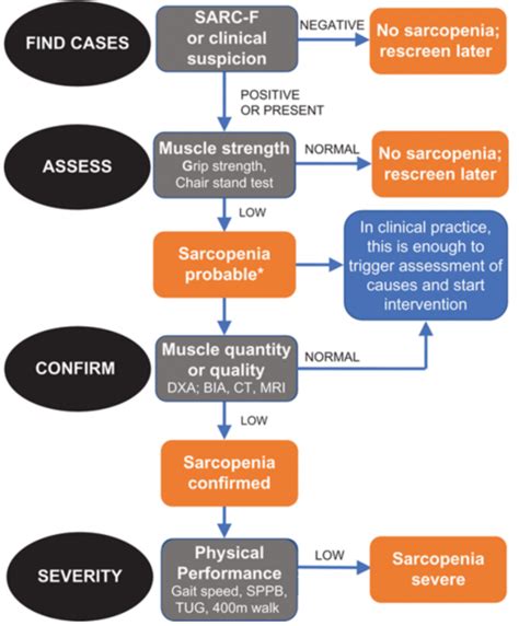 It is characterized by the degenerative loss of skeletal . Sarcopenia: A Revised European Consensus. - Physiospot ...