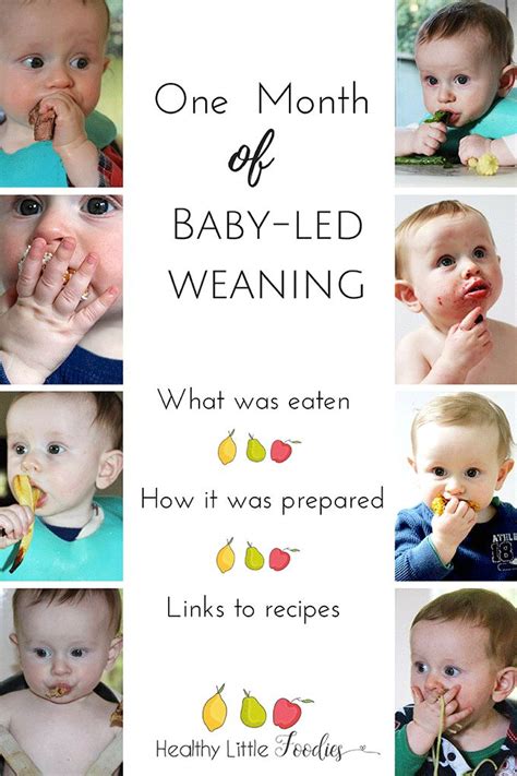 Baby led weaning foods 9 months. Conseils Maternité : Une liste des aliments que mon fils a ...