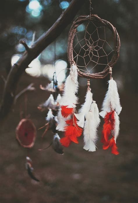 Amazing Photographs Of Diy Crafts Of Dream Catcher Incredible Snaps