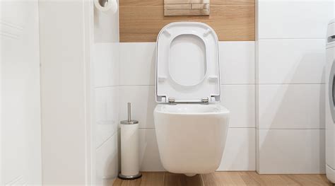 Types Of Toilet Flush Systems Pros Cons Buying Tips