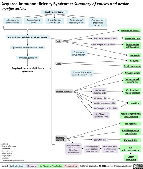 Acquired Immunodeficiency Syndrome Summary Of Causes And Ocular