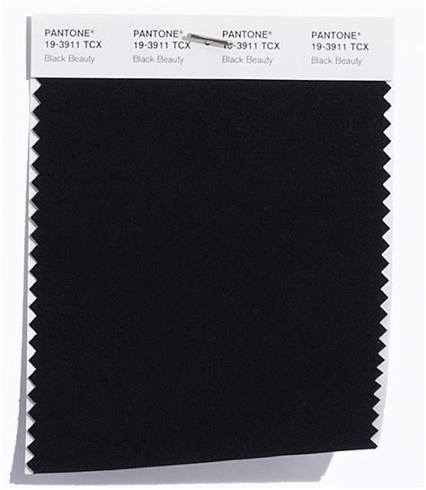 Pantone Smart Color Swatch Card 19 3911 Tcx Black Beauty Columbia