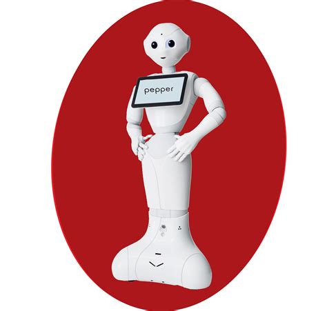 Pepper Robot Website