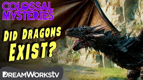 Did Dragons Ever Exist Colossal Mysteries