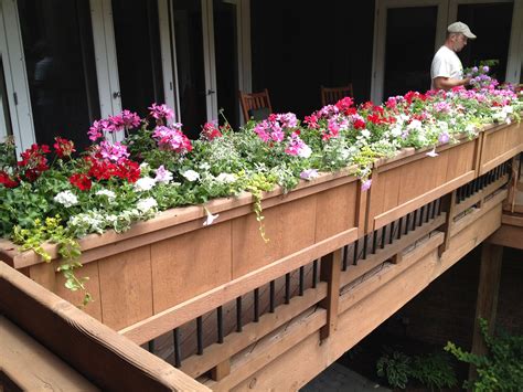 Annual Plantings Dirt Simple Railing Flower Boxes Deck Railing