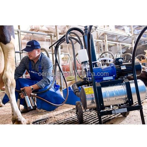 Best Price Male Milking Machine For Sale With High Efficient Buy Male Milking Machine For Sale
