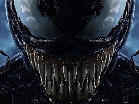 Venom Hd Wallpaper Download