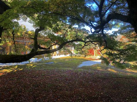 永源寺含空院庭園 ― 滋賀県東近江市の庭園。 庭園情報メディア おにわさん