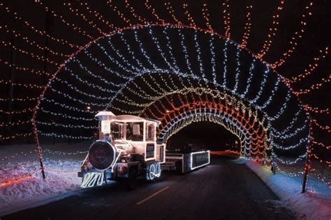 Best Drive Thru Christmas Light Displays In Michigan