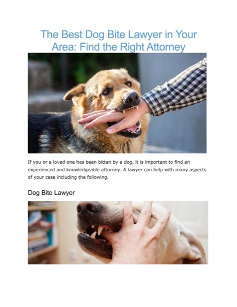 Personal Injury Attorney Dog Bite By Rrslawyers Issuu