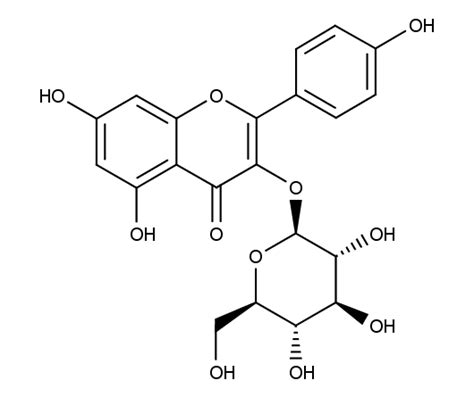 Het kan worden gevonden in smilax china , en de varen asplenium rhizophyllum en de hybride nakomelingen, als onderdeel van een complex met. Kaempferol-3-O-glucoside 1243 S - Flavonol - Extrasynthese