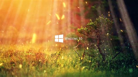 Живые обои Nature 1080p Windows 10 Series Wallpaper Engine