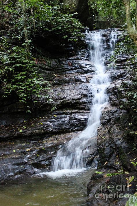 Taunay Waterfalls In Tijuca Forest Rio De Janeiro Photograph By Rupali
