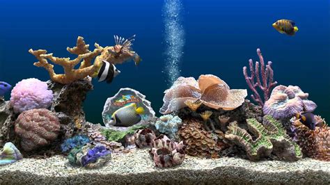 Marine Aquarium 3 Screensaver Awesome Beauty And Visuals Youtube