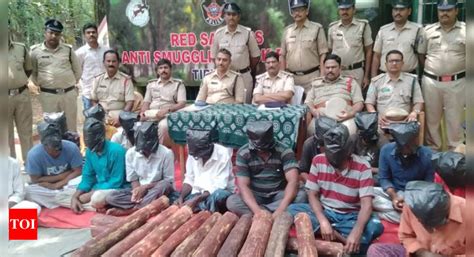 Task Force Arrests Red Sanders Smugglers Near Mydukur In Andhra Pradesh Amaravati News